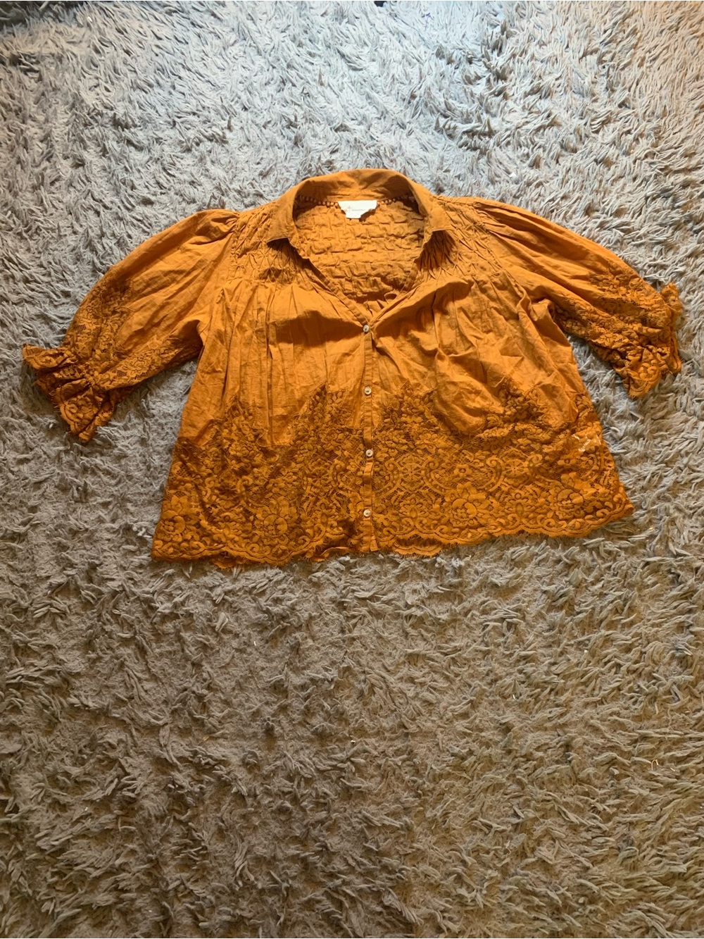 Anthropologie burnt orange Victorian Sheer-Lace Blouse sz S